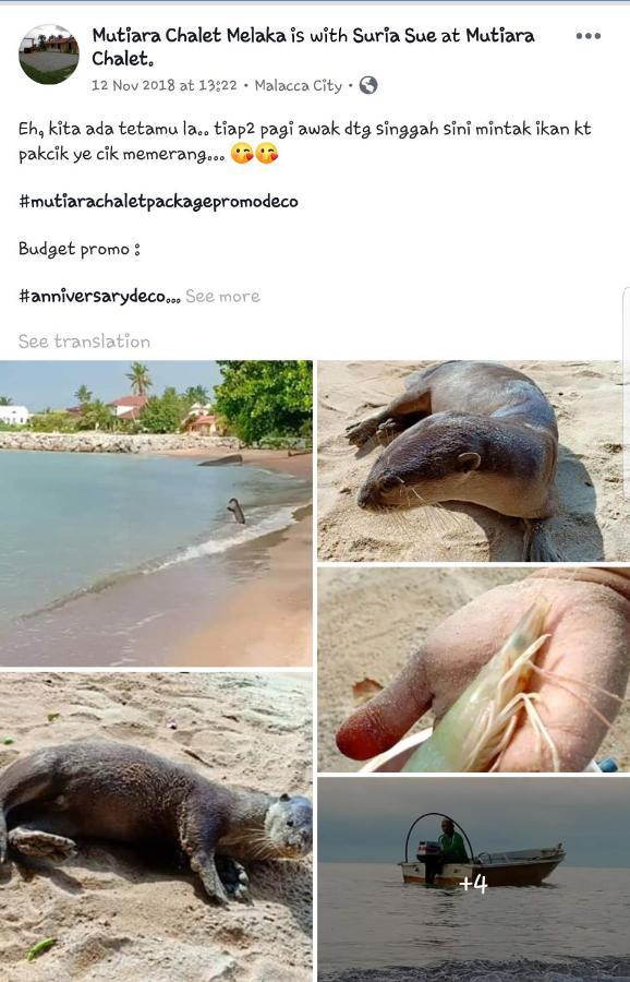 Mutiara Chalet Malacca Eksteriør bilde